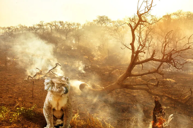 /ueditor/jsp/upload/image/20200326/1585183296691044280.png /ueditor/jsp/upload/image/20200326/1585183296691044280.png